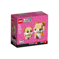 40482 Hamsters