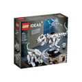 21320 Dinosaur Fossils