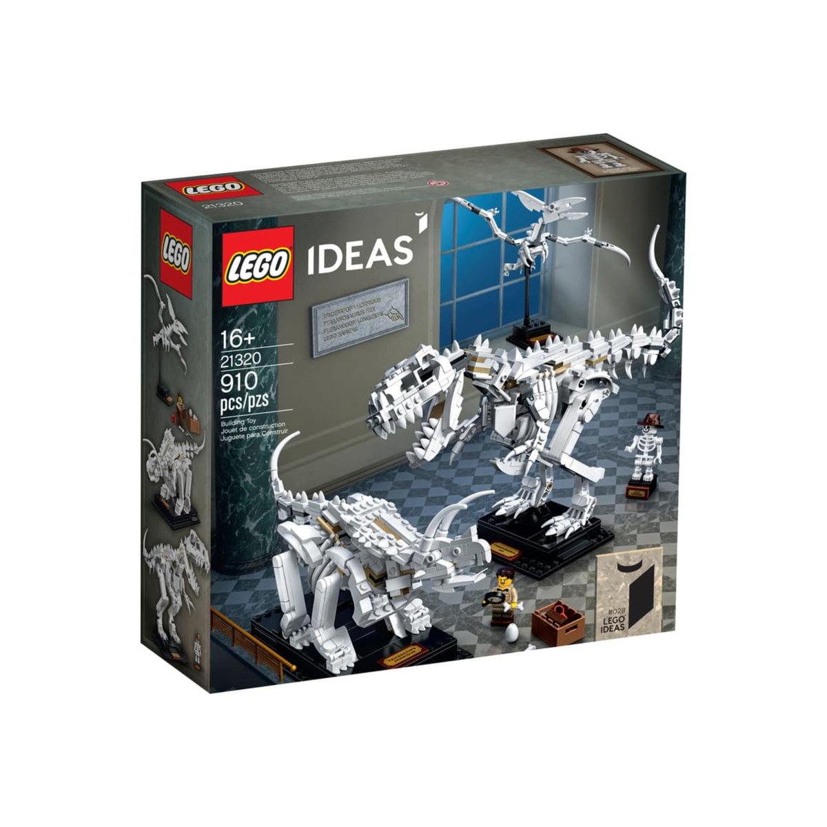 21320 Dinosaur Fossils